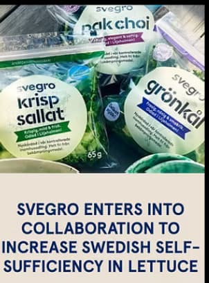 Svegro